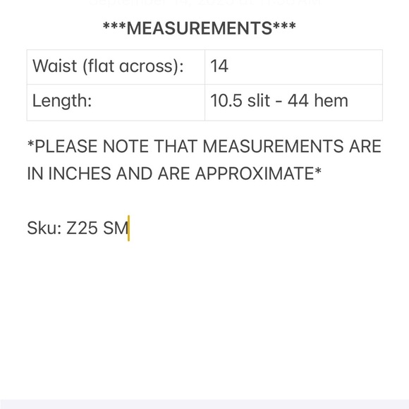 SAÏNT MOJAVÏ Arabian Double Slit Maxi Skirt - Picture 11 of 11